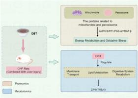 Explore the action mechanism of Danggui Buxue decoction on chronic heart failure in rats by proteomics and untargeted metabolomics