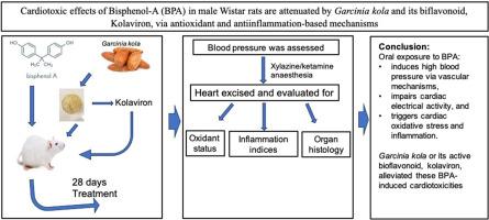 Cardiotoxic effects of Bisphenol-A in male Wistar rats are attenuated by Garcinia kola and its biflavonoid, kolaviron, via antioxidant and antiinflammation-based mechanisms