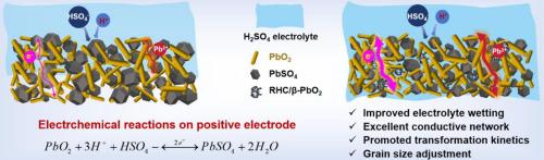 Rice husk derived porous carbon/β-PbO₂ composites as positive additives for lead‑carbon batteries