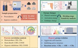 Response mechanism of dominant reactive functional groups in lignite under hypoxic conditions: a study combining phased microstructural and energy changes
