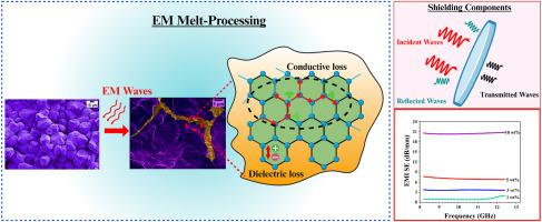 Morphology-driven electromagnetic shielding performance of graphitic nanoparticles in segregated polypropylene nanocomposites via electromagnetic melt processing