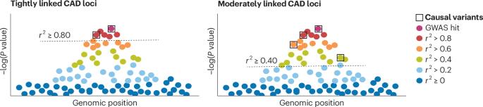 Mapping causal non-coding variants in coronary artery disease