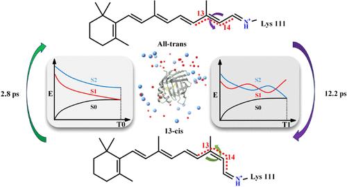 Photodynamics of Microbial Rhodopsin Mimic M1-L121E: Insights from Computational Modeling