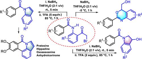Chemodivergent Synthesis of 1,3-Benzoxazines, Indolin-3-ols, and Indoles from the Designer Amides: Applications to the Synthesis of Phenanthridine Natural Products