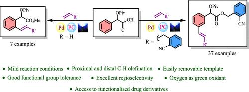 Synergistic Photoredox/Palladium-Catalyzed Remote Meta C–H Olefination of Mandelic Acids