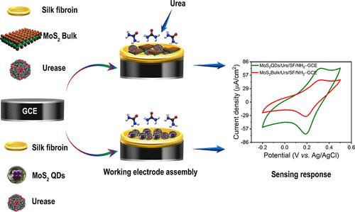 Unraveling the Potential and Selectivity of MoS2 Quantum Dots for Enzyme-Based Electrochemical Detection of Urea†