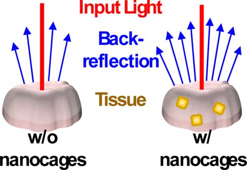 Scattering-Dominant Contrast Agents for Optical Coherence Tomography