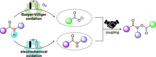 Divergent Transformation of Diarylethanones via Anodic Oxidation and Electrochemical Baeyer–Villiger Oxidation for Scalable Synthesis of α-Acyloxyketones