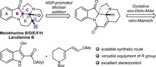 Total Synthesis of (±)-Larutienine B and (±)-Melokhanine B, D, E, F, and H