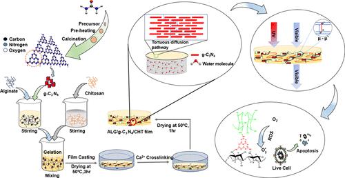 Graphitic Carbon Nitride-Reinforced Chitosan/Ca2+-Alginate Nanocomposite Films with Multifunctional Properties for Sustainable Packaging