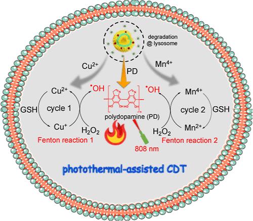 Multifunctional Mn–Cu Bimetallic DNAsome for Photothermal-Assisted Chemodynamic Cancer Therapy