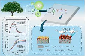 Fabrication of flame retardant toughened PLA base 3D printed materials with modified lignin by phytic acid