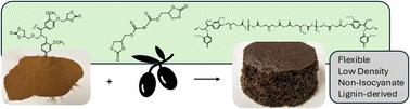 Structure–property relationships of flexible, non-isocyanate polyurethane foams from lignin and castor oil-based reagents