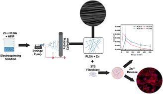 Zinc-integrated PLGA/chitosan nanofiber mesh: a platform for wound healing applications