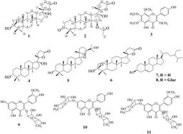 Triterpenes isolated from Cleome amblyocarpa: evaluation of antioxidant potential