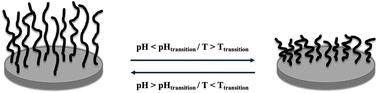 Fabrication of PAA-co-PNIPAm brushes via surface-initiated-PET-RAFT polymerization and investigation of their dual responsive behavior