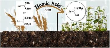 Humic acid as a natural catalyst for C–S bond construction: decarbonylative and decarboxylative thioether synthesis
