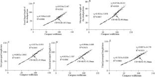 Changes of secondary sexual characteristics during the growth and development of the male Portunus trituberculatus