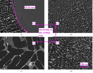Effect of the Cooling Rate on the Microstructure of a Quasi-Binary Al-Cu-Gd Alloy in the As-Cast and Homogenized States