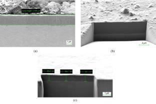Degradation Features of Ion-Plasma Nitride Coatings under Sliding Friction