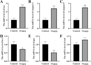 BDE-47 induces oxidative stress and apoptosis by interfering with pyruvate and glutathione metabolism in Epinephelus coioides