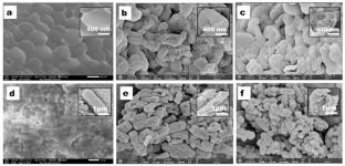Comparative analysis with biosynthesized nanoparticles by reducing and capping of identified Pterocarpus Santalinus bioactive compounds