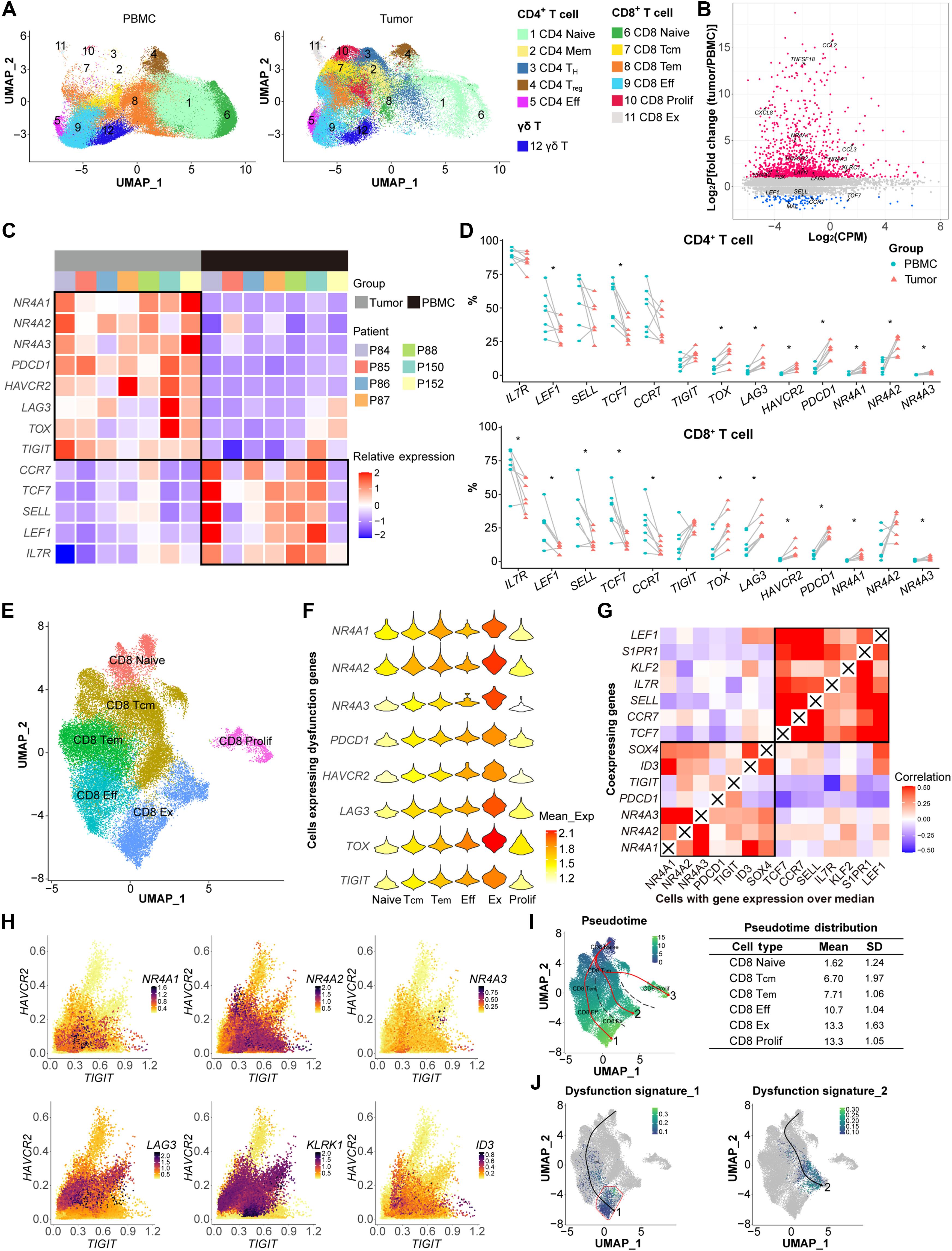 Enhanced FOS expression improves tumor clearance and resists exhaustion in NR4A3-deficient CAR T cells under chronic antigen exposure