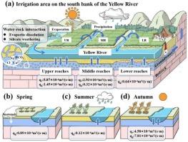 Deciphering spatio-seasonal impacts of agricultural irrigation on water quality evolution and surface water-groundwater interaction in a large irrigation district, northwest China