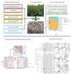 Systematic optimization of paper mulberry silage: Engineered Lacticaseibacillus paracasei-Lactiplantibacillus plantarum consortium with enzymes and industrial by-products for stable biomass preservation