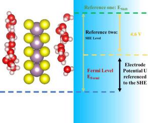 First-principles investigation of electrified monolayered MoS2/water interface