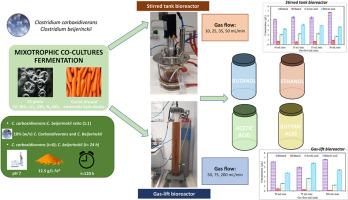 Mixotrophic co-cultures fermentation of C1-gases and carrot discard hydrolysate by C. carboxidivorans and C. beijerinckii in stirred tank bioreactor and gas-lift bioreactor