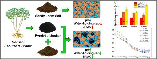 Cassava's harvest residue biochar from rotary kiln pyrolysis: Effects on sandy loam soil properties and maize growth