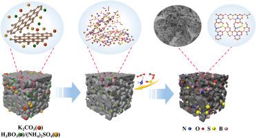 Synergistic activation-doping strategy for constructing N/O/B/S Co-doped hierarchical porous carbon from wild jujube pit towards high-performance supercapacitors