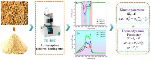 Study of the combustion behavior of wheat straw using TG–DSC under multiple heating rates