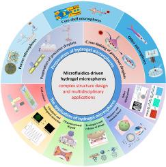 Microfluidics-based hydrogel microspheres: Complex structure design and multidisciplinary applications