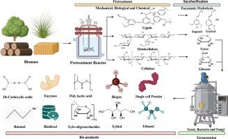 Pretreatment technologies for valorisation of lignocellulosic biomass towards sustainable biorefineries: Comprehensive insights and advances