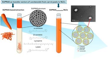 Supramolecular solvents as transfer vectors of carotenoids from carrot peels to nanostructured lipid carriers