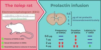 Exacerbation of absence seizures by central prolactin in female taiep rats: An animal model of epilepsy-prone leukodystrophy