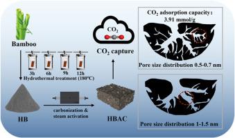 Hydrothermal pretreatment for controlling bamboo biomass composition and regulating pore structure of bamboo-based activated carbon for CO2 adsorption