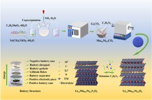 N doping promotes the multiplication capability and cycling stability of cobalt-free lithium-rich layered cathode materials