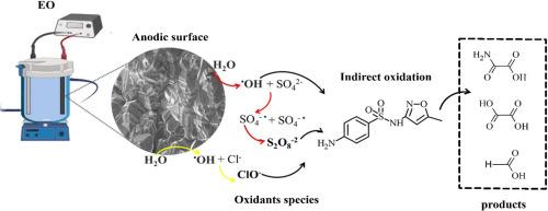 Structure-function relationships in BDD anodes: Insights into electrochemical generation of oxidants for sulfamethoxazole removal