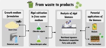 From waste to products: microalgal cultivation in insect frass to obtain valuable biomass