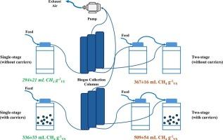 Anaerobic co-digestion of sewage sludge and food waste: staging and carriers enhance system performance and process stability