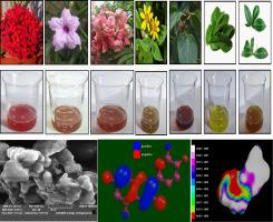 From plant biowaste to green and sustainable acid-base indicators: Extraction, phytochemical screening, and quantum simulation