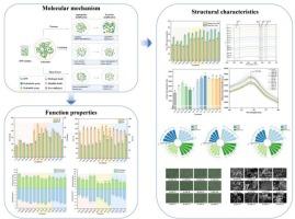 Comparative analysis of high-intensity non-thermal physical treatments on the structural and functional properties of Spirulina platensis protein