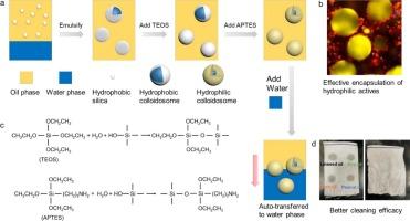 Facile synthesis of Colloidosomes with tunable hydrophilicity as carriers of hydrophilic active ingredients for aqueous medium-oriented applications