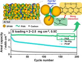 Investigating the effect of binder for stabilizing a sulfurized polyacrylonitrile cathode in sodium–sulfur batteries