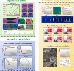 Study on the competitive mechanisms of pre-tension strengthening and fatigue damage in AZ31B magnesium alloy