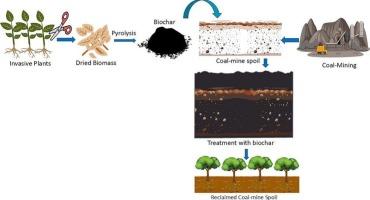Harnessing the potential of invasive plants biomass for biochar production and coal-mine spoil reclamation: A review