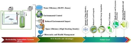 Recirculating aquaculture systems: Advances, impacts, and integrated pathways for sustainable growth
